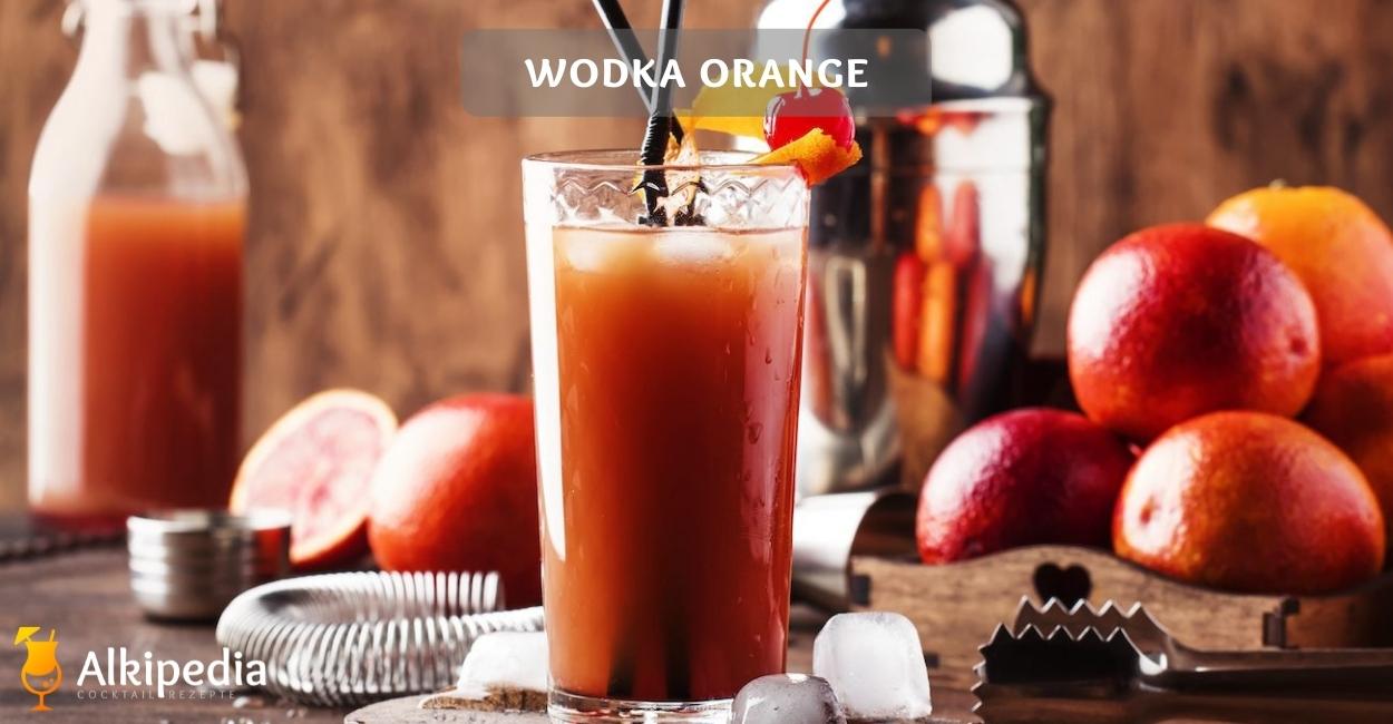 wodka orange Cocktail Rezept